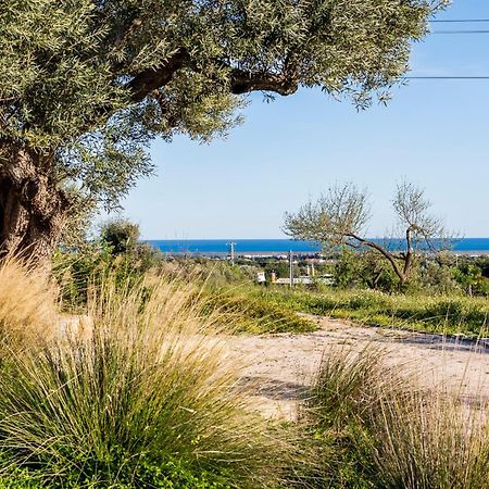 Vila Quinta Da Baleeira Tavira Exteriér fotografie