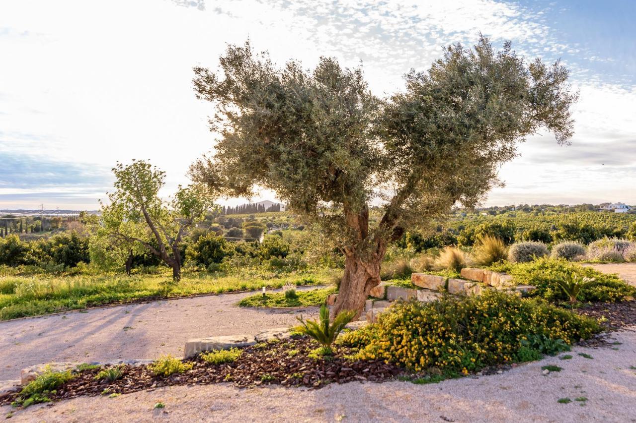 Vila Quinta Da Baleeira Tavira Exteriér fotografie