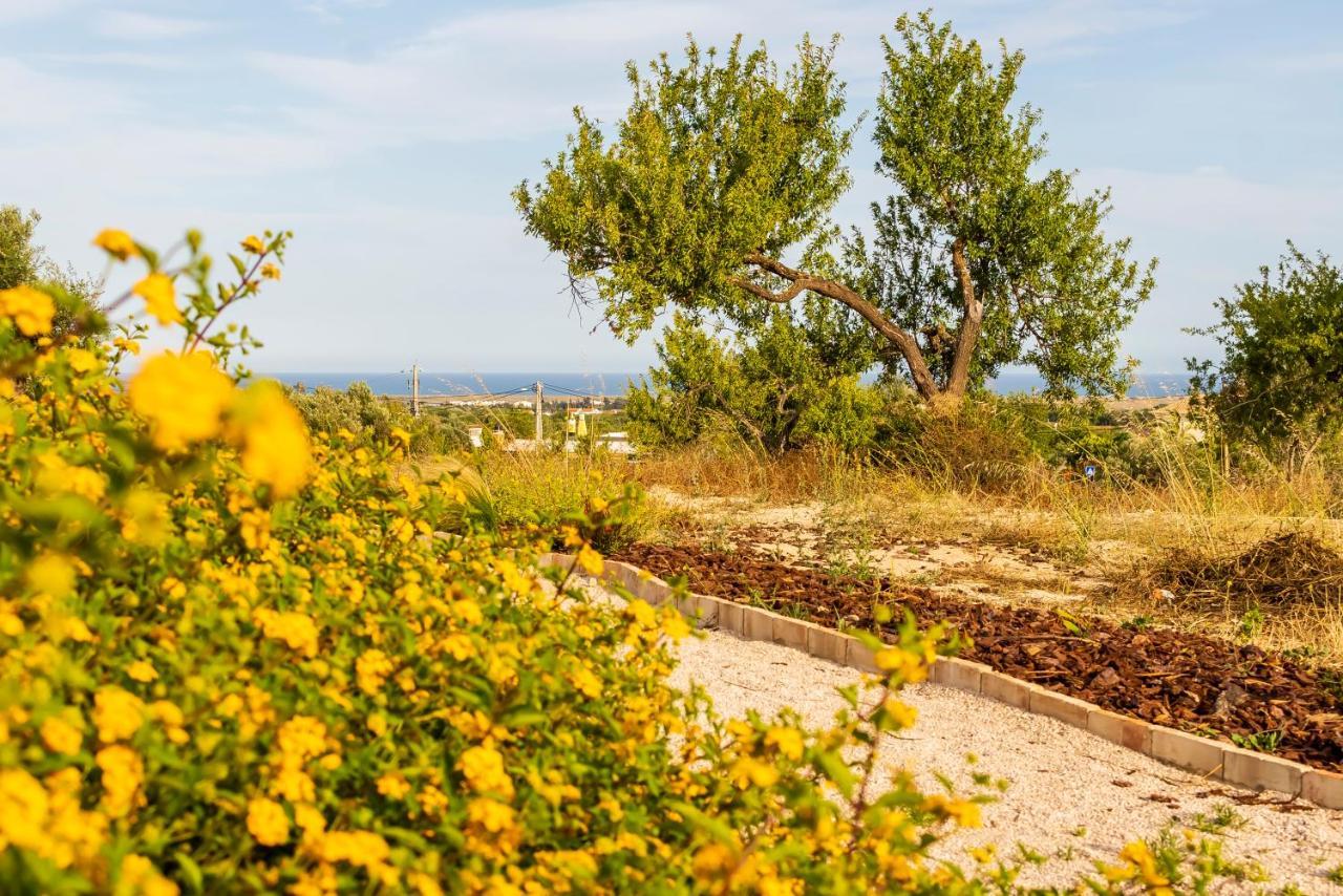 Vila Quinta Da Baleeira Tavira Exteriér fotografie