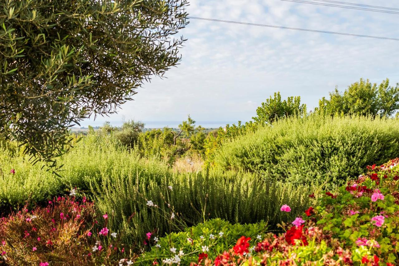 Vila Quinta Da Baleeira Tavira Exteriér fotografie