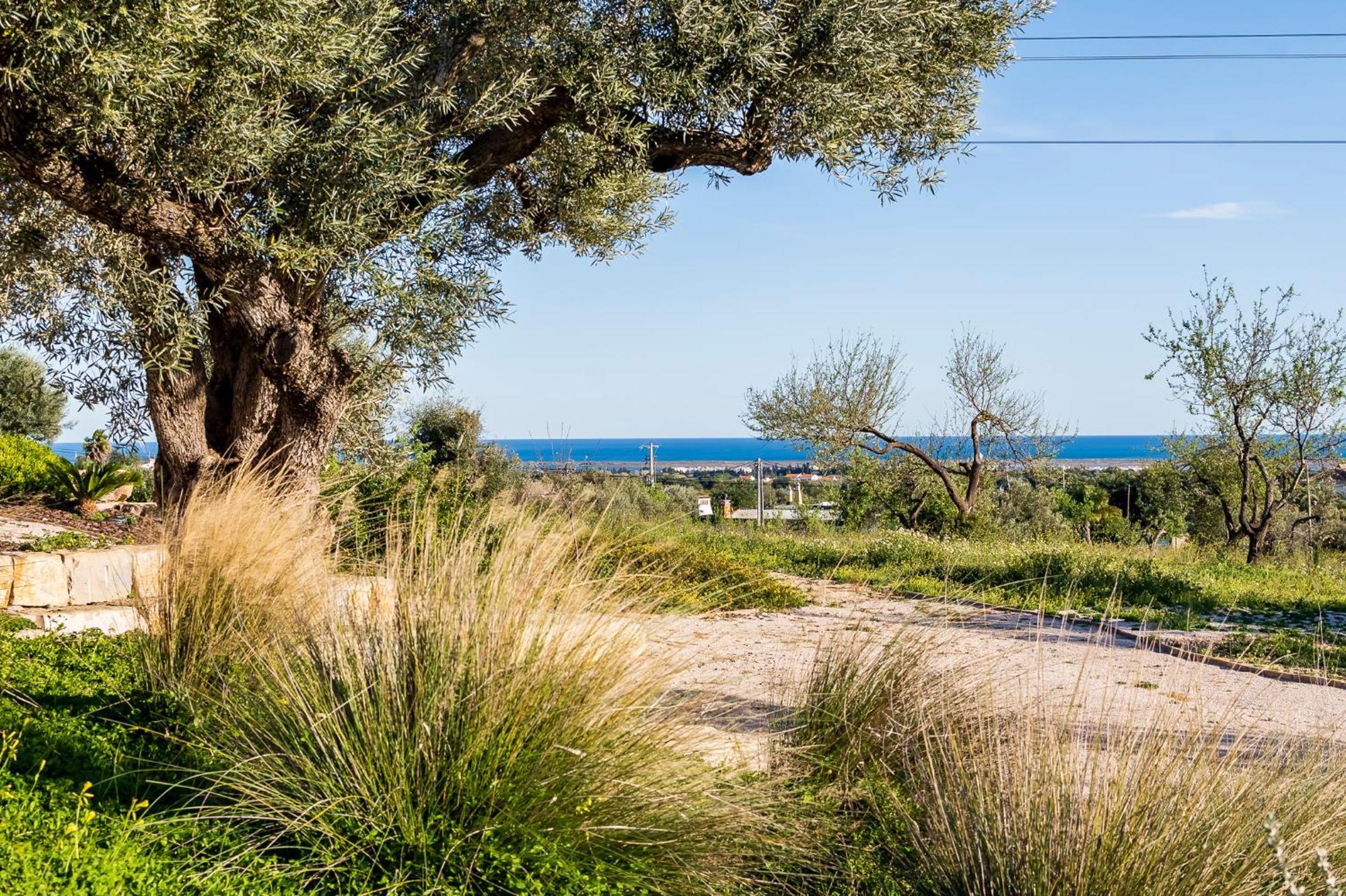 Vila Quinta Da Baleeira Tavira Exteriér fotografie